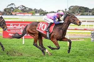 POMAH SCOOPS VOBIS RICHES